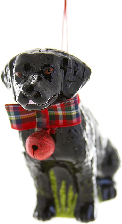 Cody Foster Black Lab